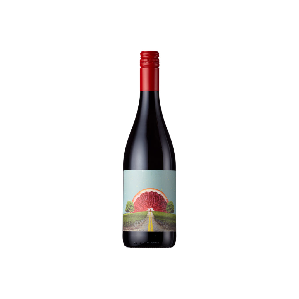 Solara, Natural Red, Panclu, Romania [Organic & Natural Wine]