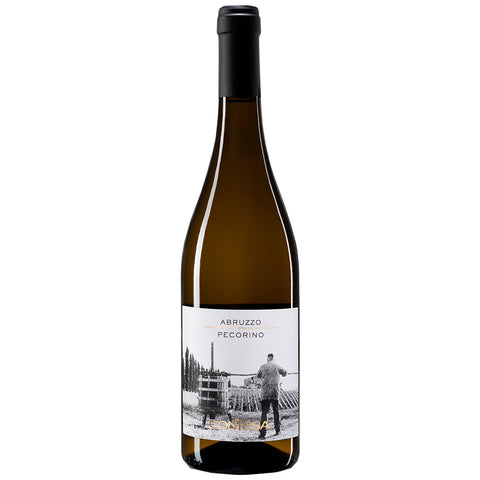 Contesa Abruzzo Pecorino