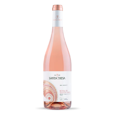 Santa Tresa Rose