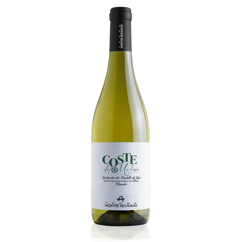 Monte Schiavo Coste del Molino Verdicchio Classico